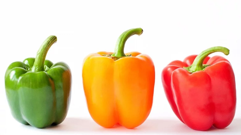 Razlika u cijeni između zelenih, žutih i crvenih paprika